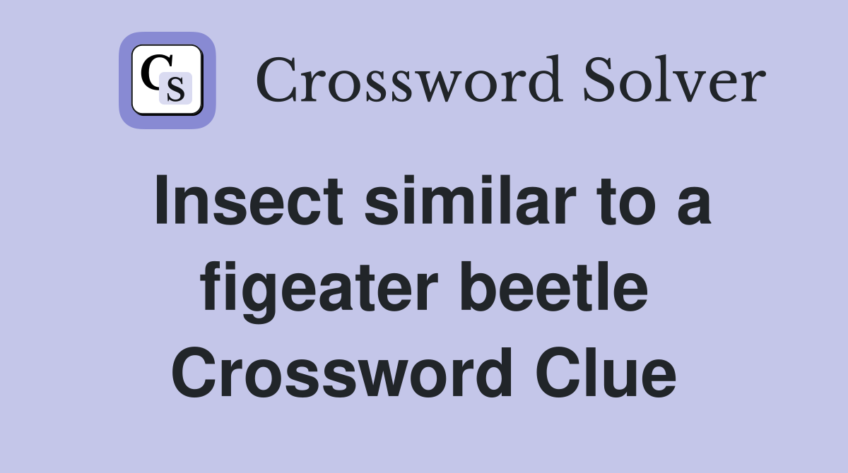 Insect similar to a figeater beetle Crossword Clue
