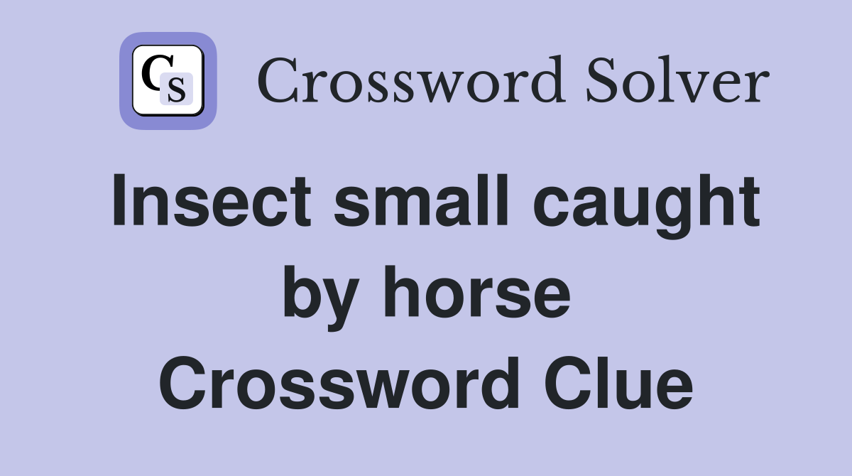 Insect small caught by horse Crossword Clue