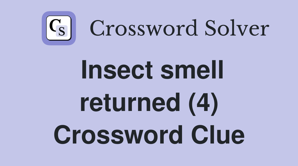 Insect smell returned (4) Crossword Clue