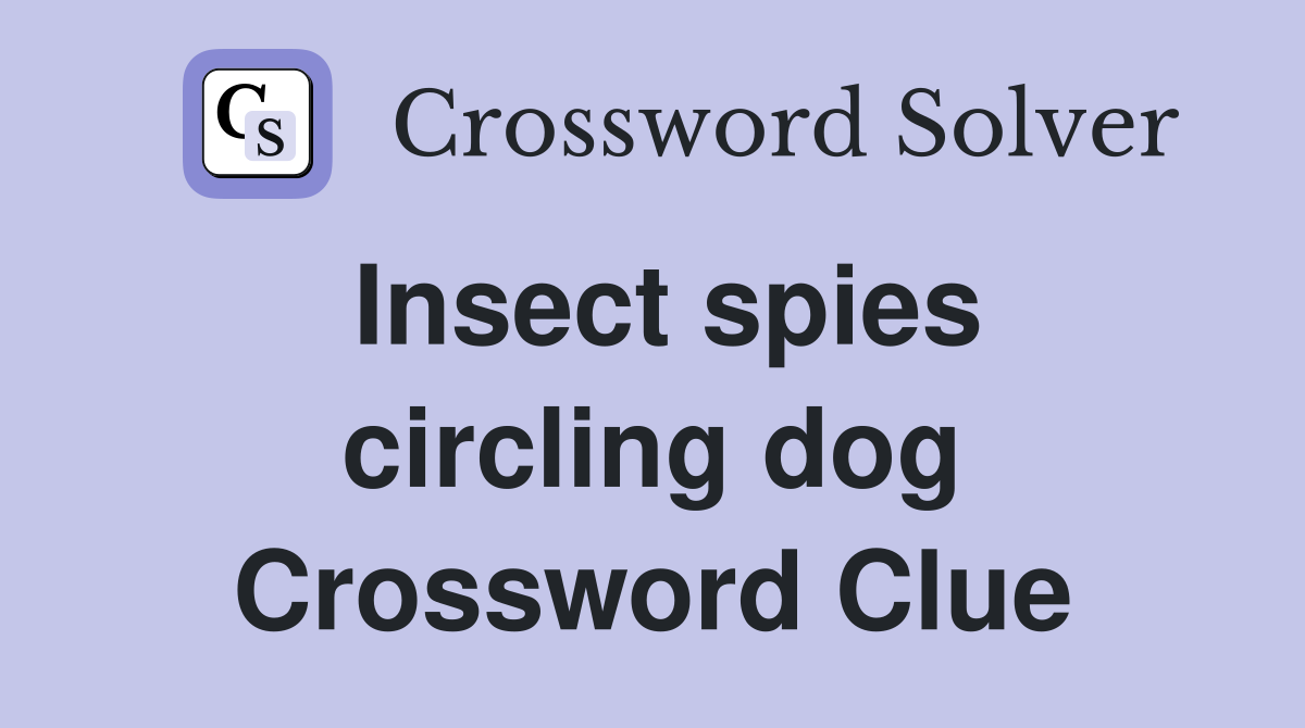 Insect spies circling dog Crossword Clue