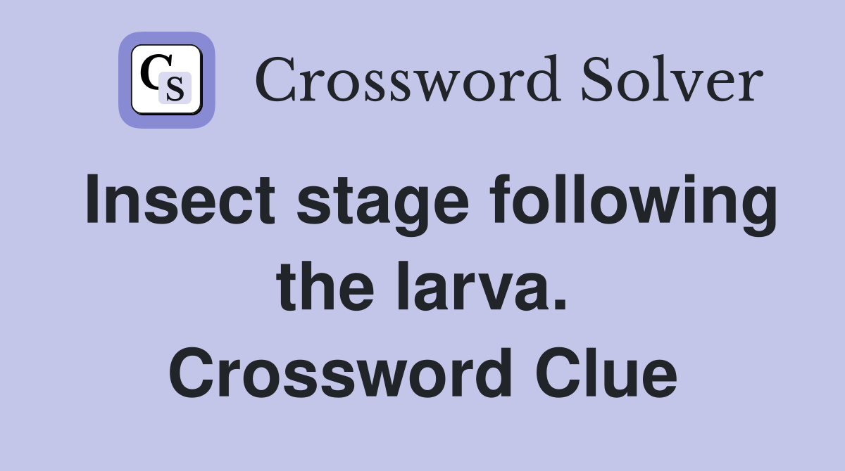 Insect stage following the larva. Crossword Clue