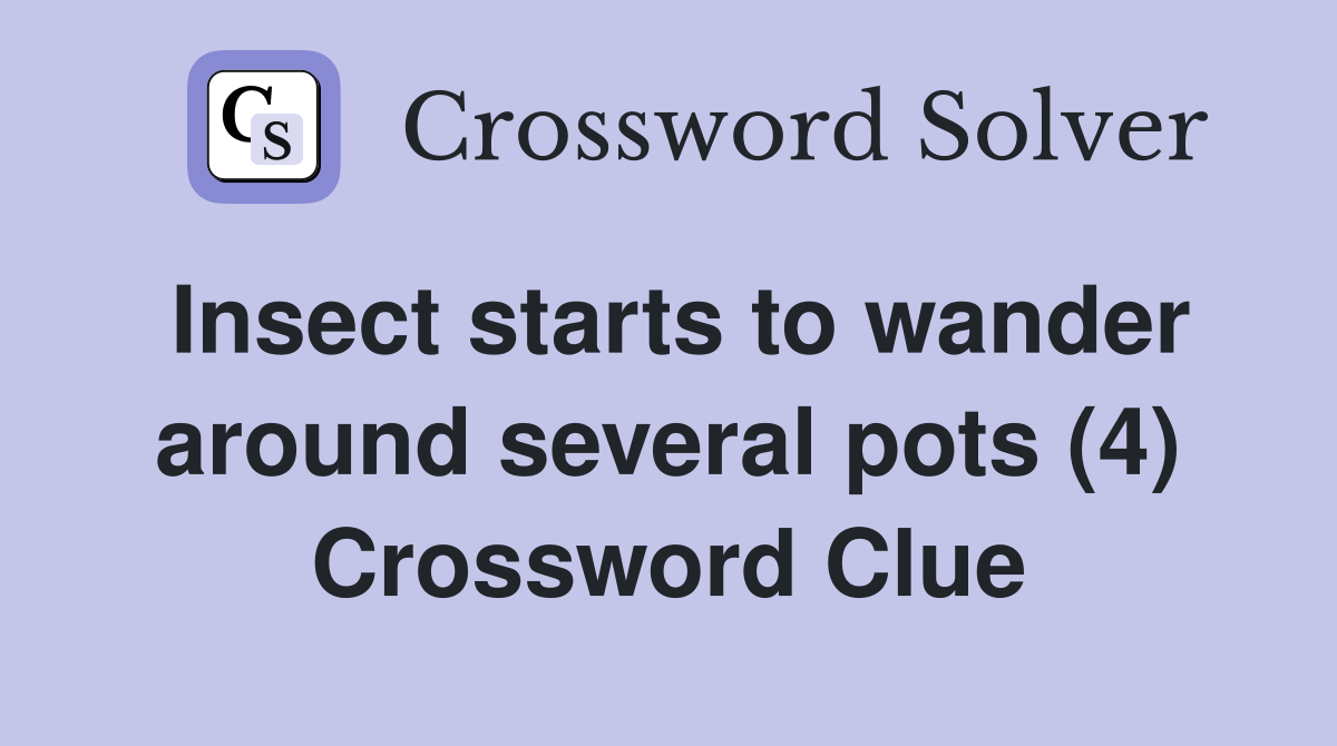 Insect starts to wander around several pots (4) Crossword Clue