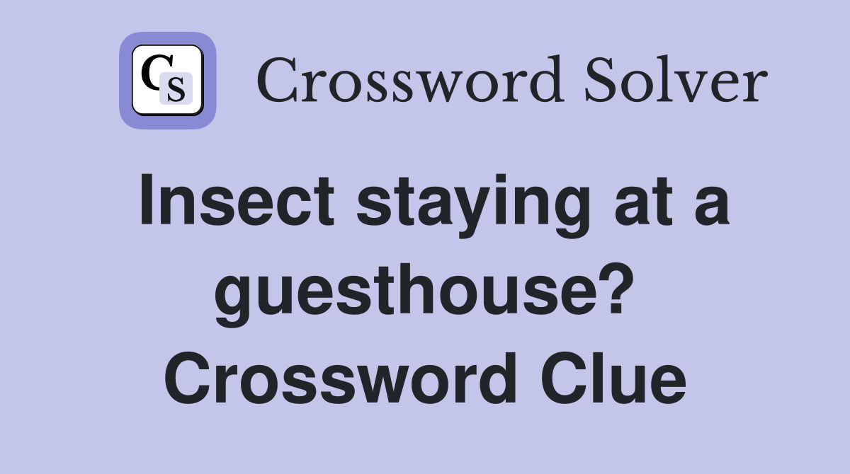 Insect staying at a guesthouse? Crossword Clue