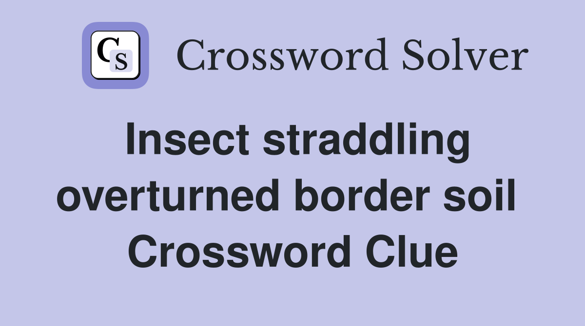 Insect straddling overturned border soil  Crossword Clue