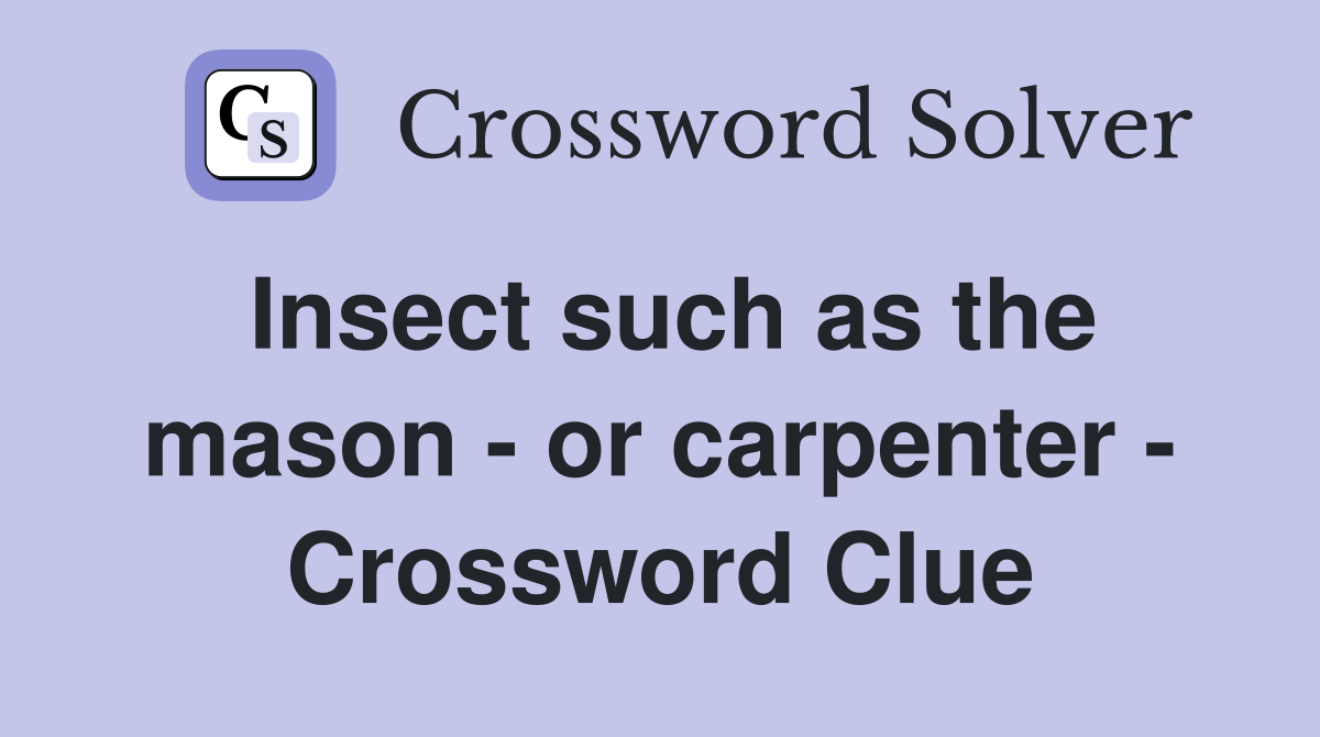 Insect such as the mason - or carpenter - Crossword Clue