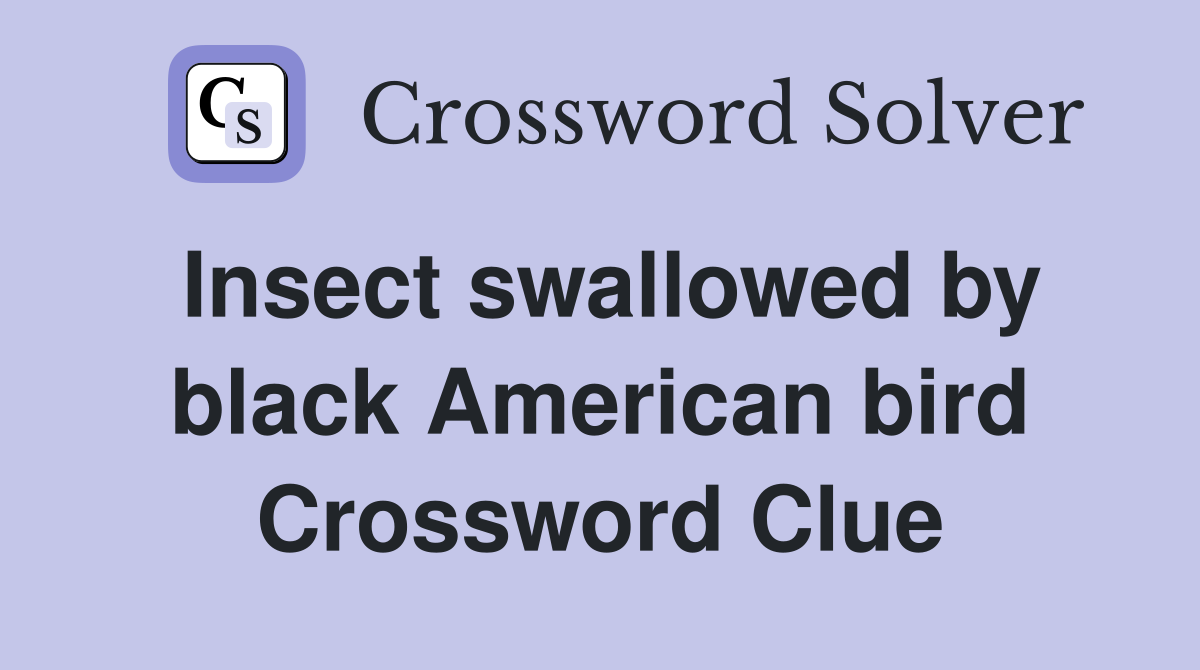 Insect swallowed by black American bird Crossword Clue