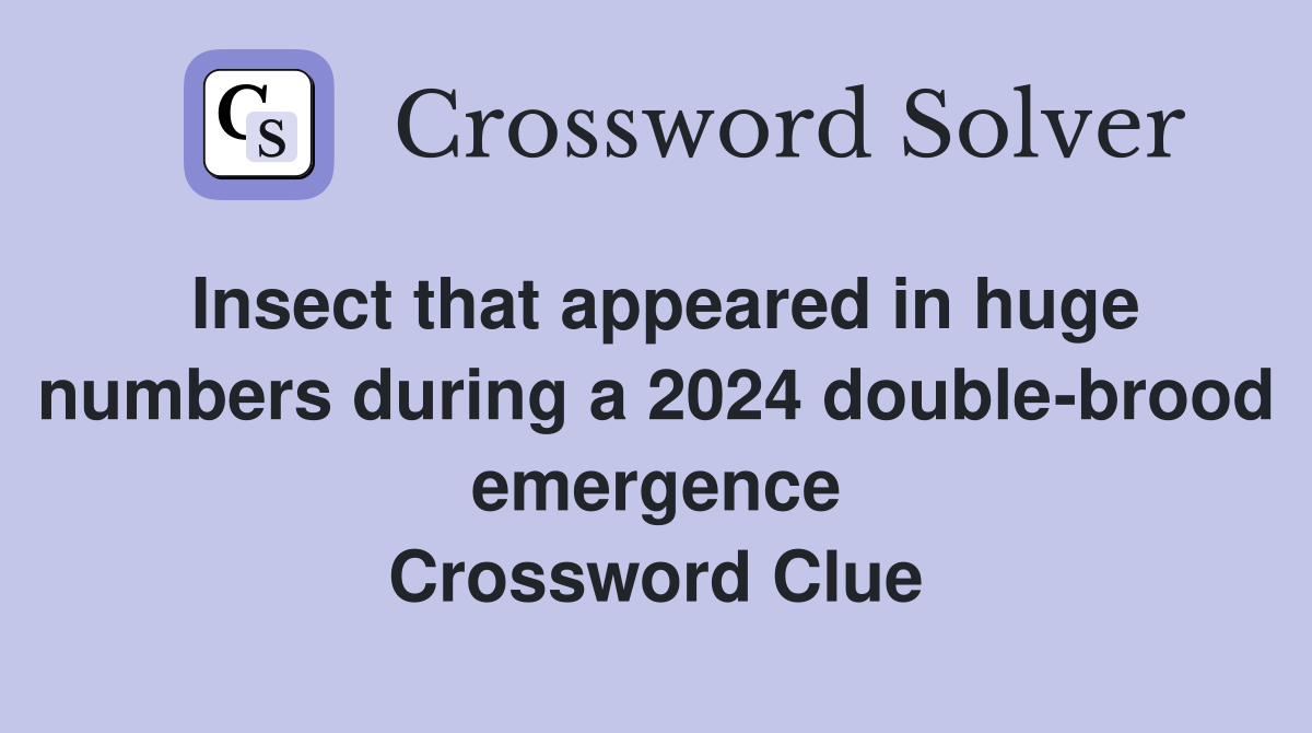 Insect that appeared in huge numbers during a 2024 double-brood emergence Crossword Clue