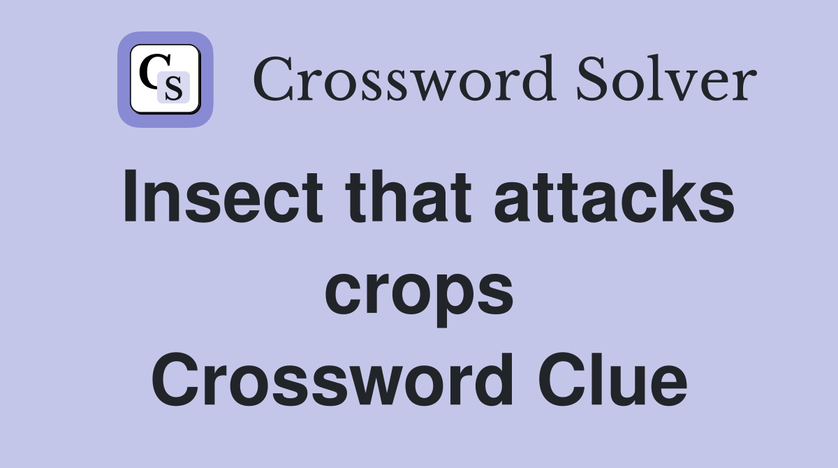 Insect that attacks crops Crossword Clue