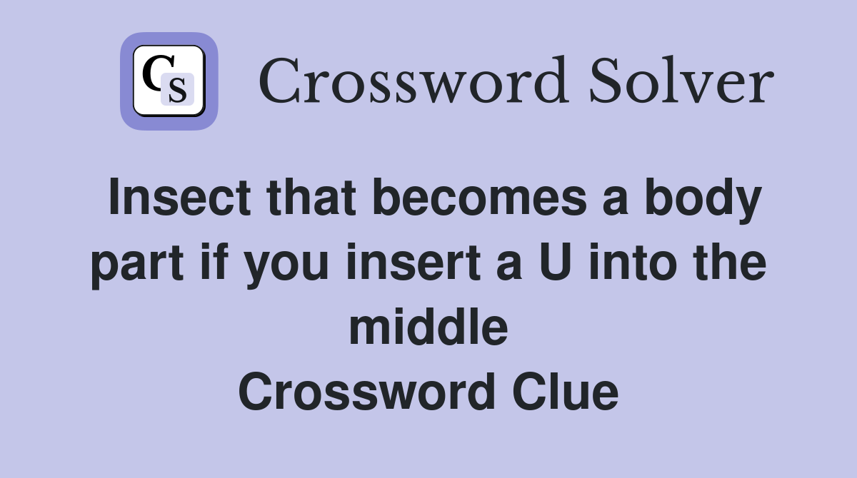 Insect that becomes a body part if you insert a U into the middle Crossword Clue