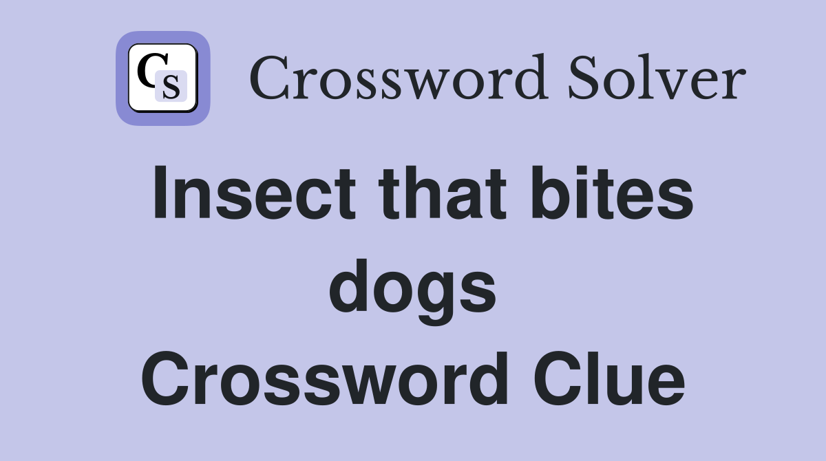 Insect that bites dogs Crossword Clue