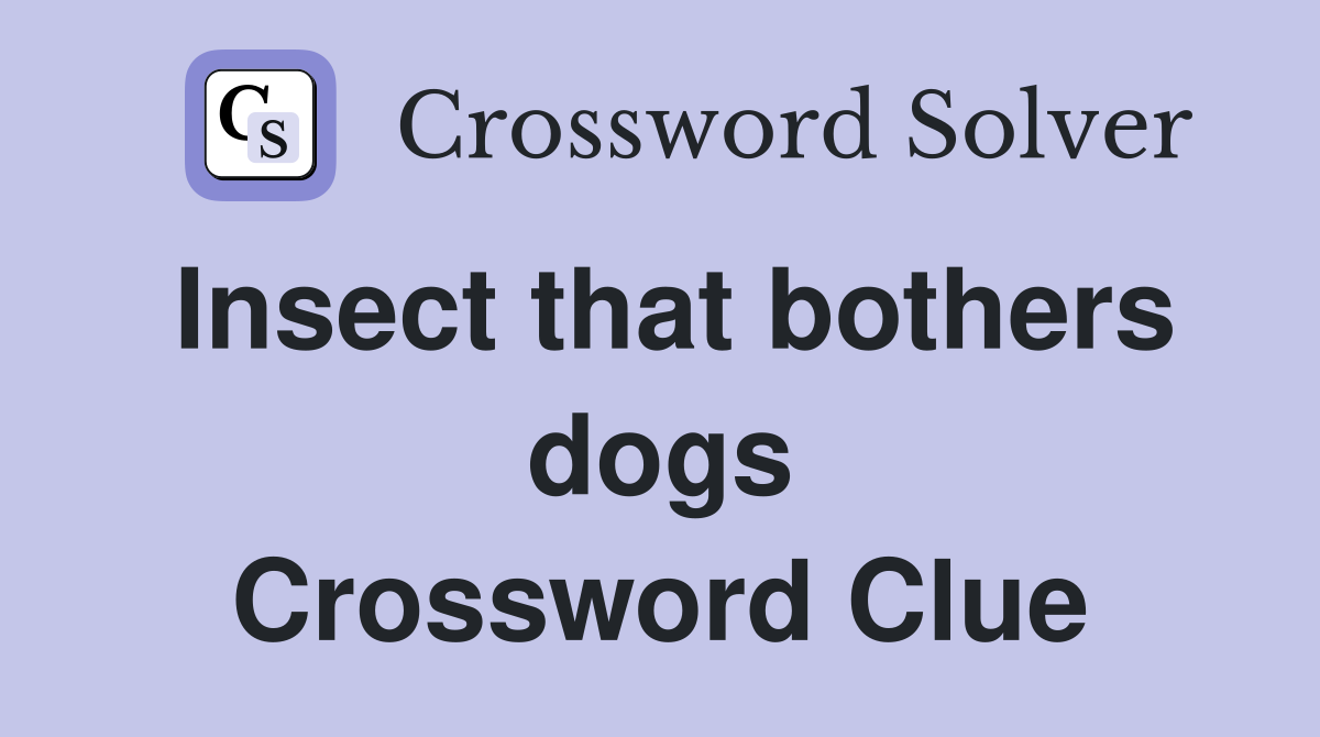 Insect that bothers dogs Crossword Clue