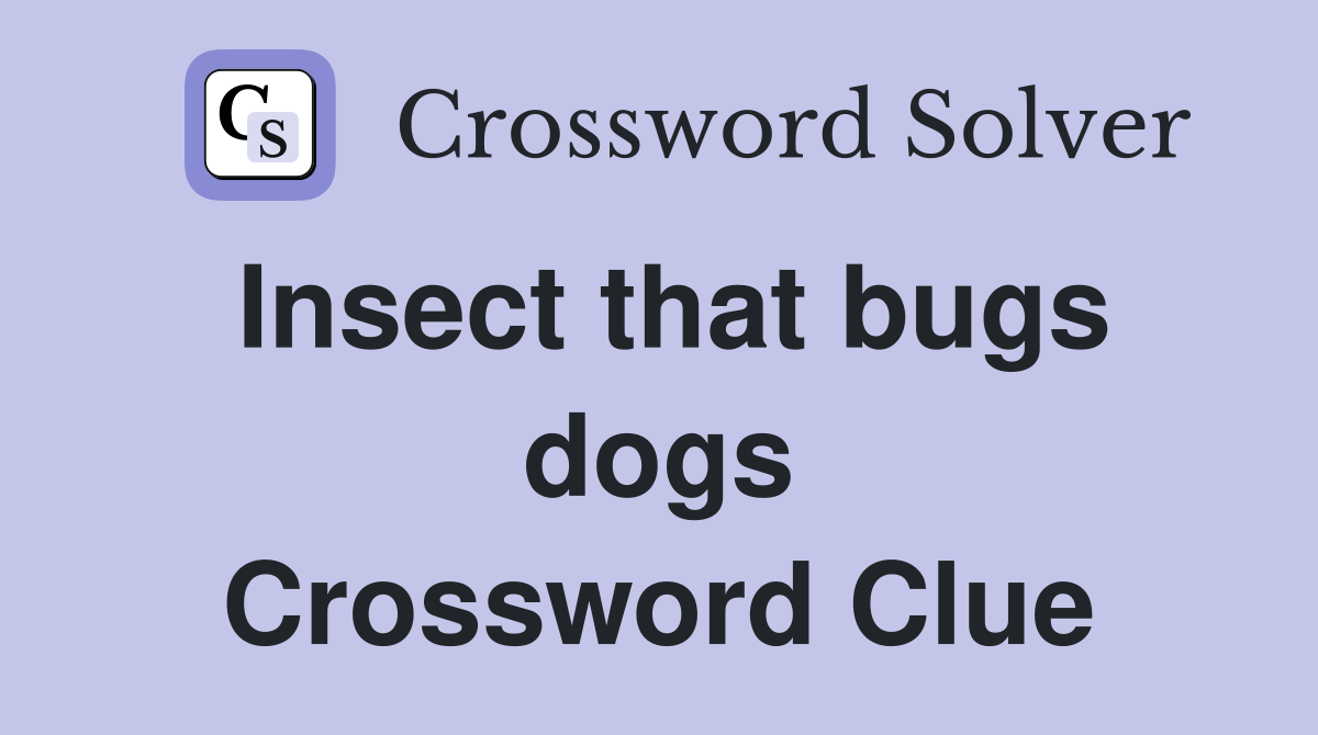 Insect that bugs dogs Crossword Clue