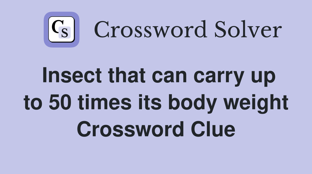 Insect that can carry up to 50 times its body weight Crossword Clue