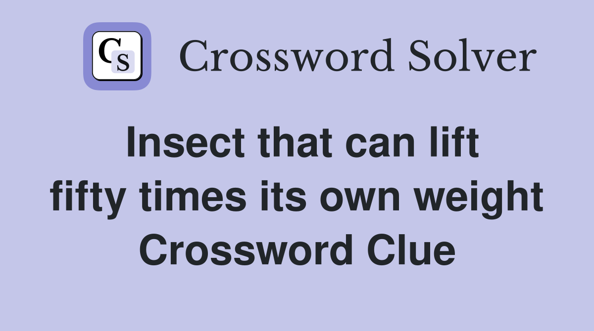 Insect that can lift fifty times its own weight Crossword Clue