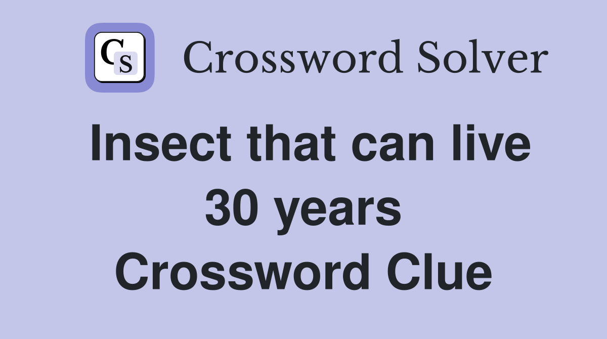 Insect that can live 30 years Crossword Clue