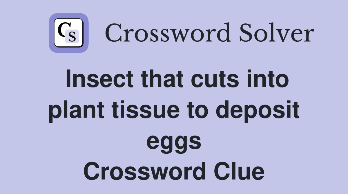 Insect that cuts into plant tissue to deposit eggs Crossword Clue