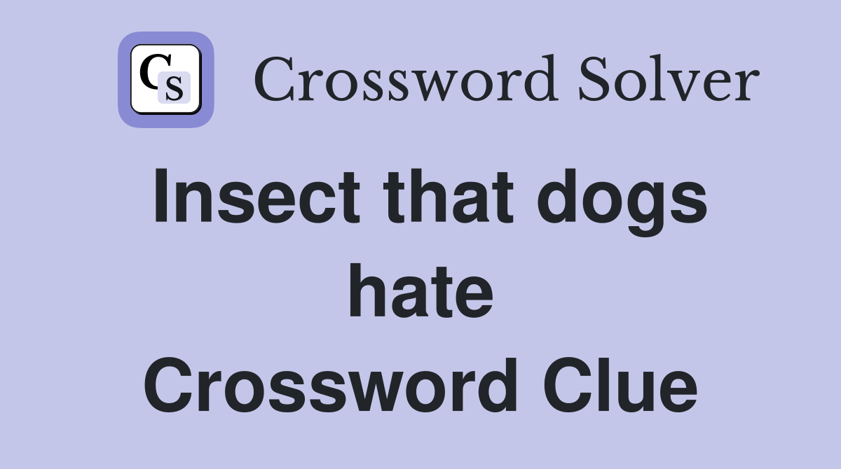 Insect that dogs hate Crossword Clue