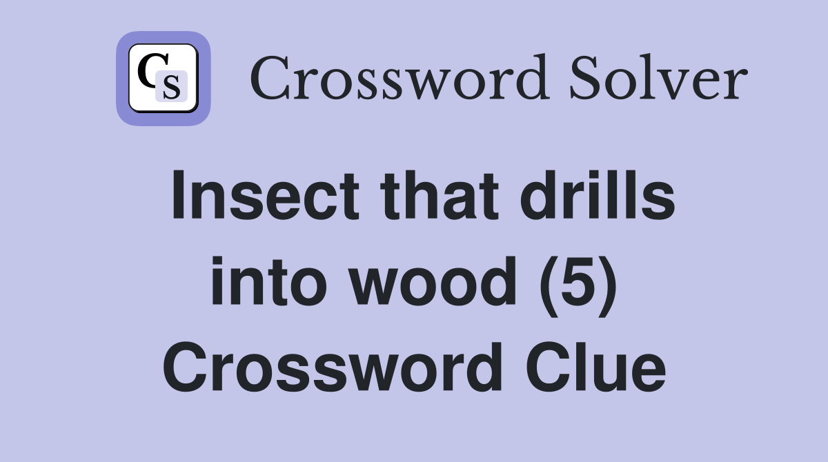 Insect that drills into wood (5) Crossword Clue