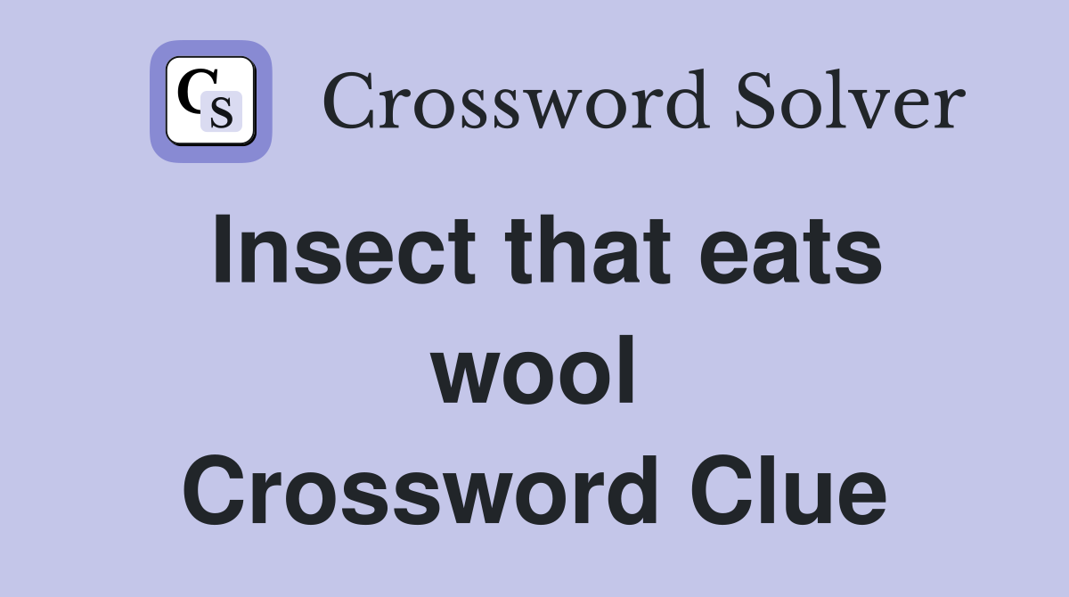 Insect that eats wool Crossword Clue
