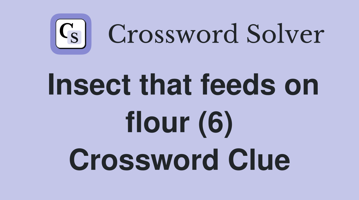 Insect that feeds on flour (6) Crossword Clue
