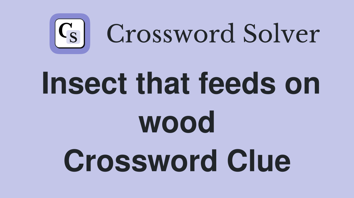 Insect that feeds on wood Crossword Clue