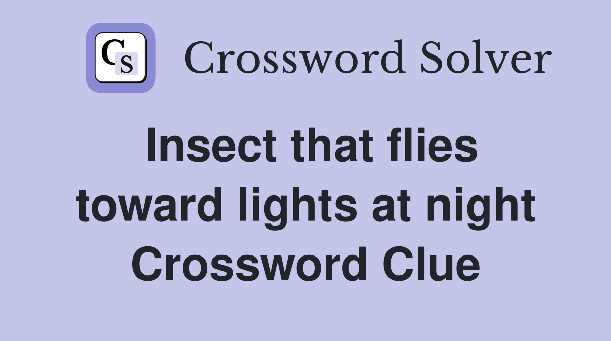 Insect that flies toward lights at night Crossword Clue