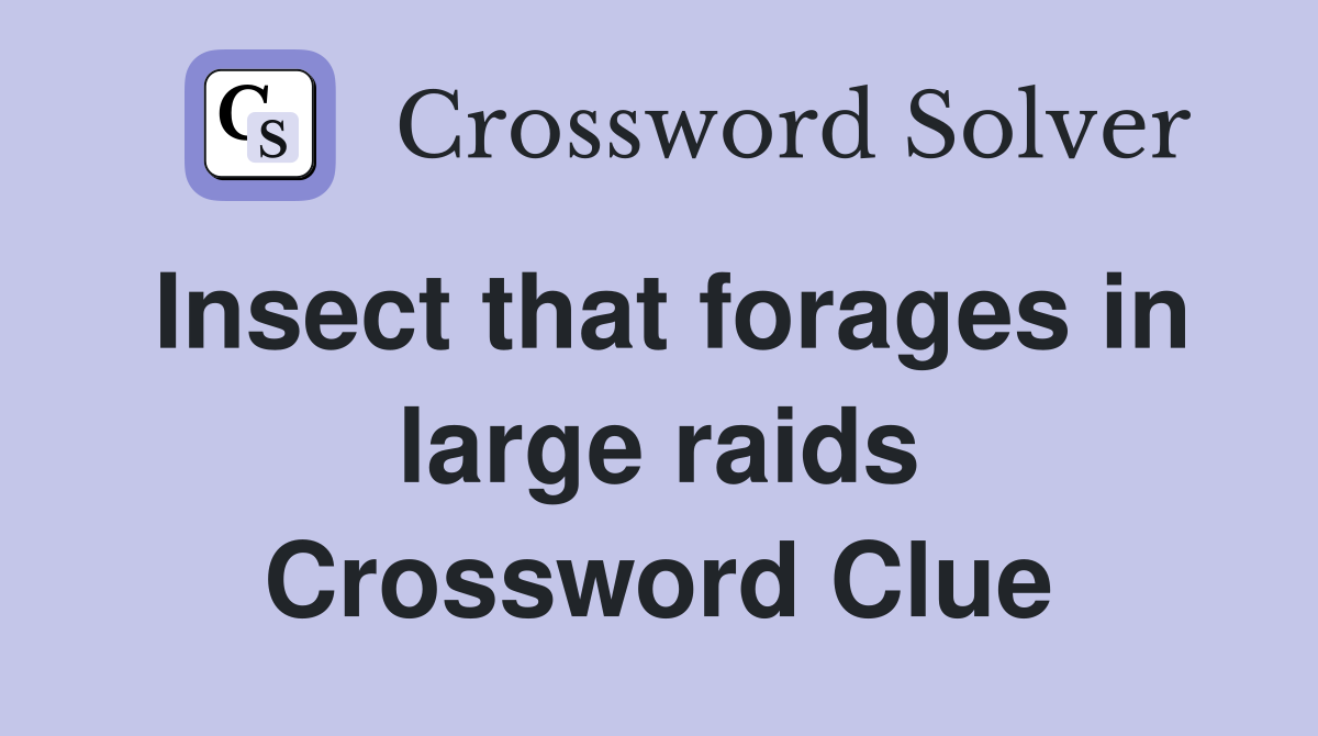 Insect that forages in large raids Crossword Clue