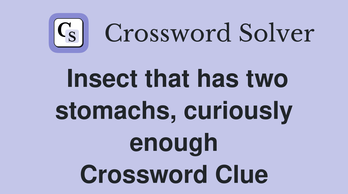 Insect that has two stomachs, curiously enough Crossword Clue