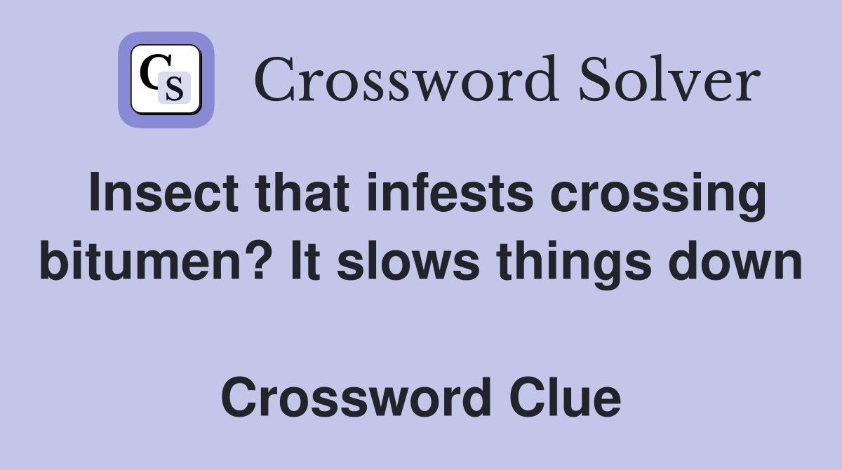Insect that infests crossing bitumen? It slows things down  Crossword Clue