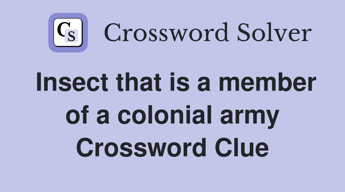 Insect that is a member of a colonial army Crossword Clue