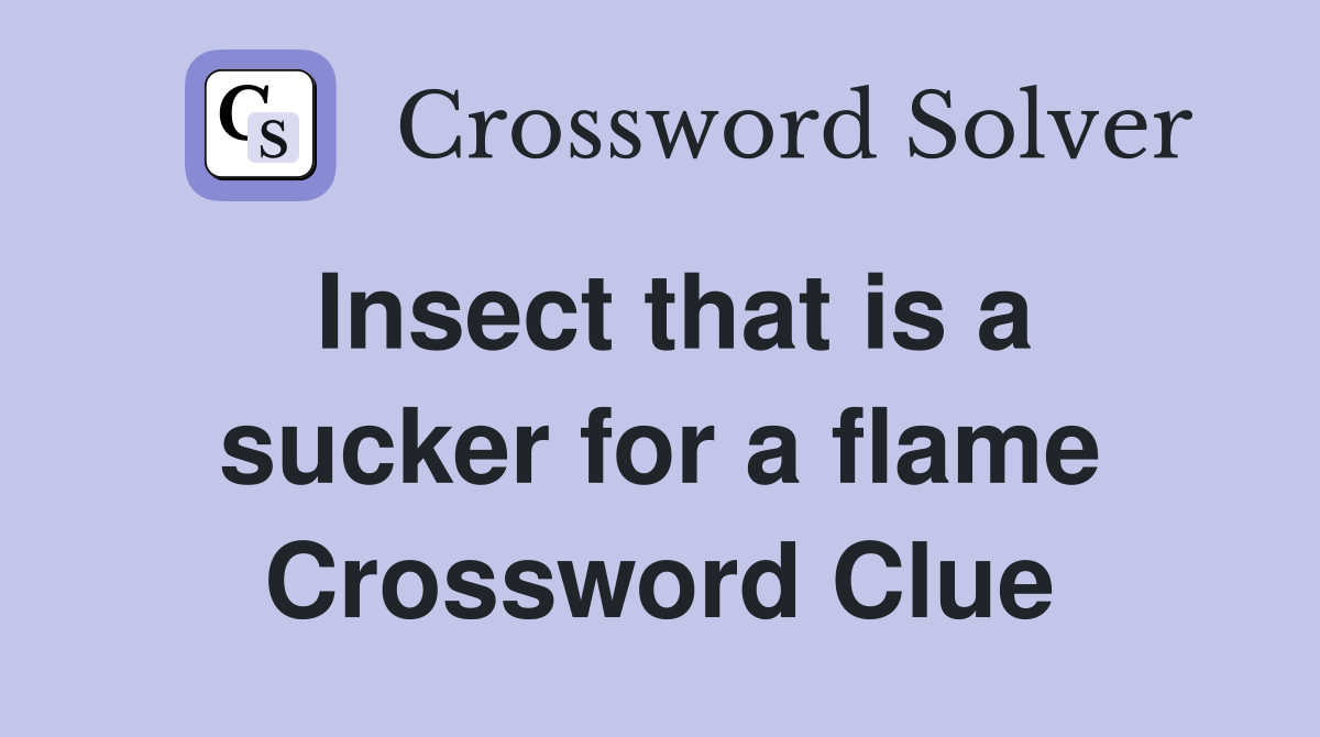 Insect that is a sucker for a flame Crossword Clue