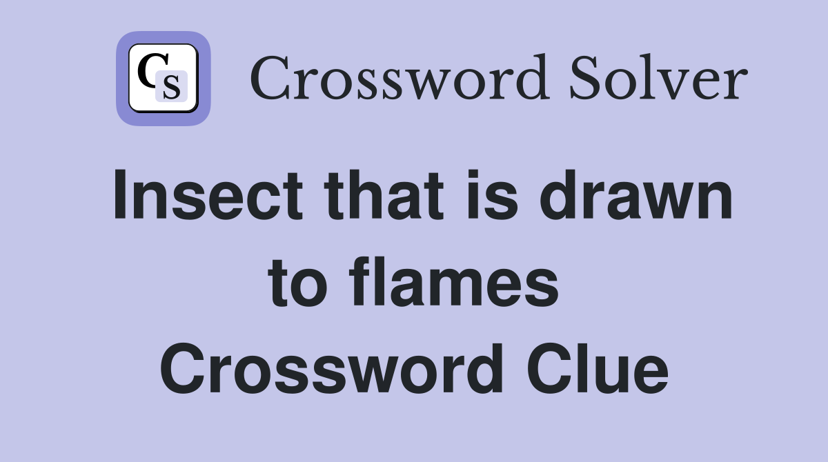 Insect that is drawn to flames Crossword Clue
