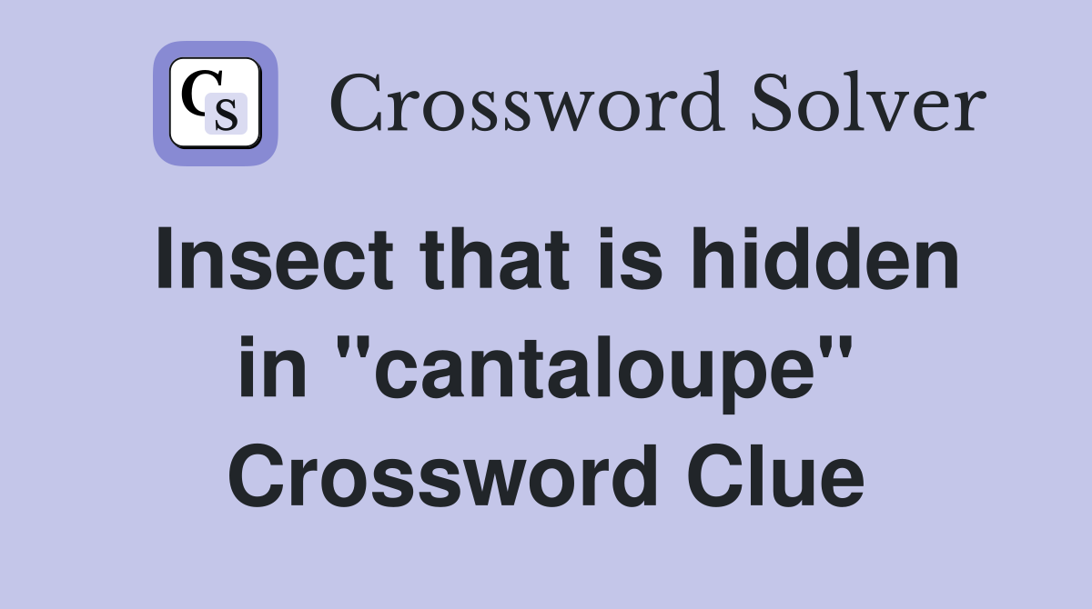 Insect that is hidden in "cantaloupe" Crossword Clue