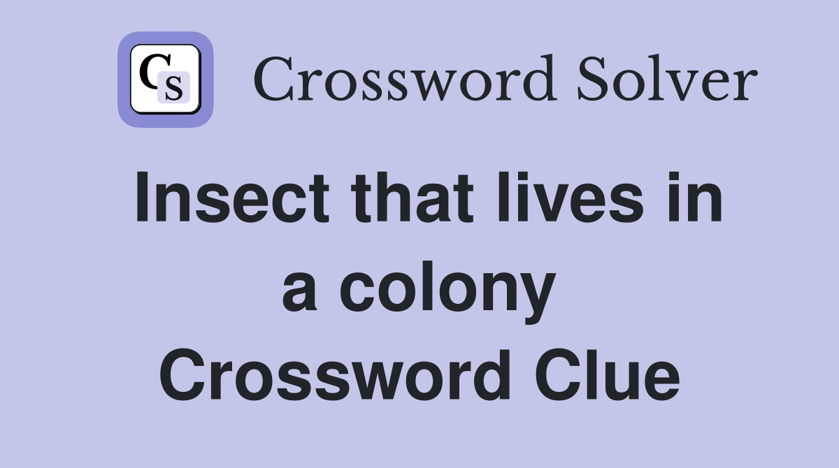 Insect that lives in a colony Crossword Clue