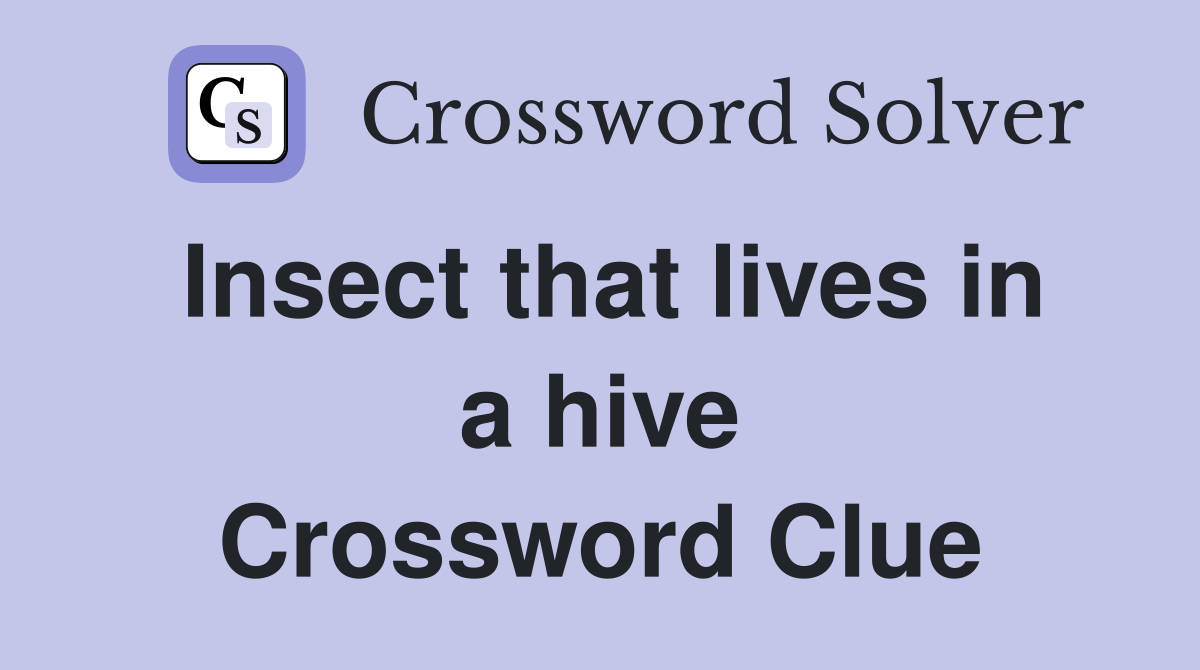 Insect that lives in a hive Crossword Clue