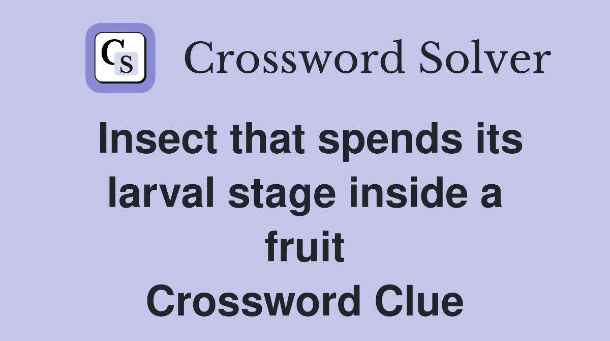 Insect that spends its larval stage inside a fruit Crossword Clue