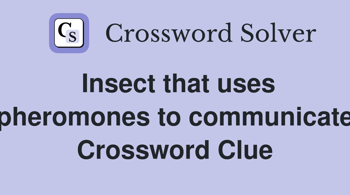 Insect that uses pheromones to communicate Crossword Clue