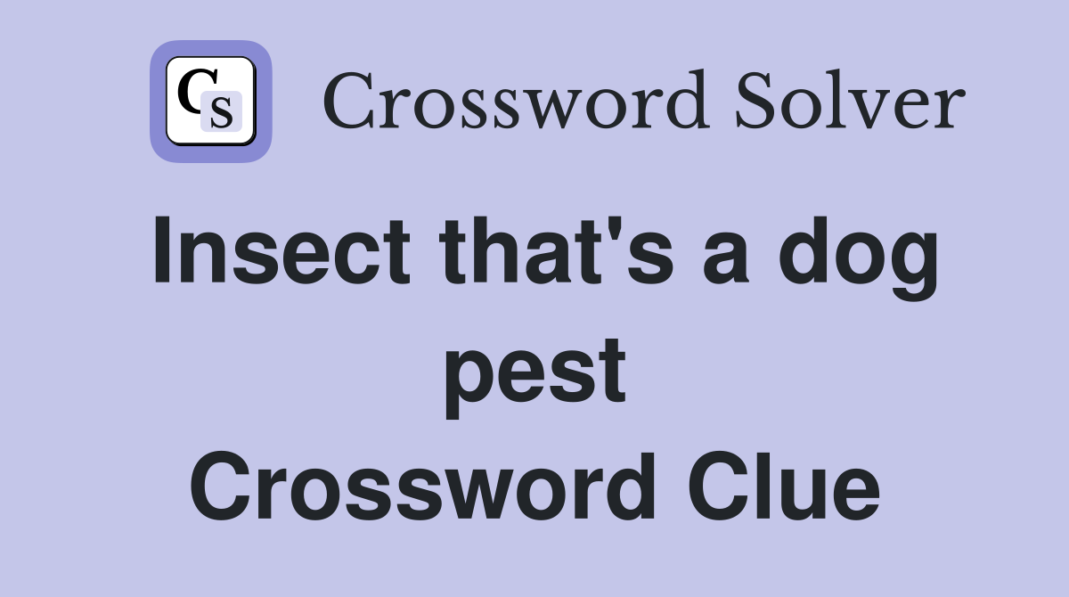 Insect that's a dog pest Crossword Clue