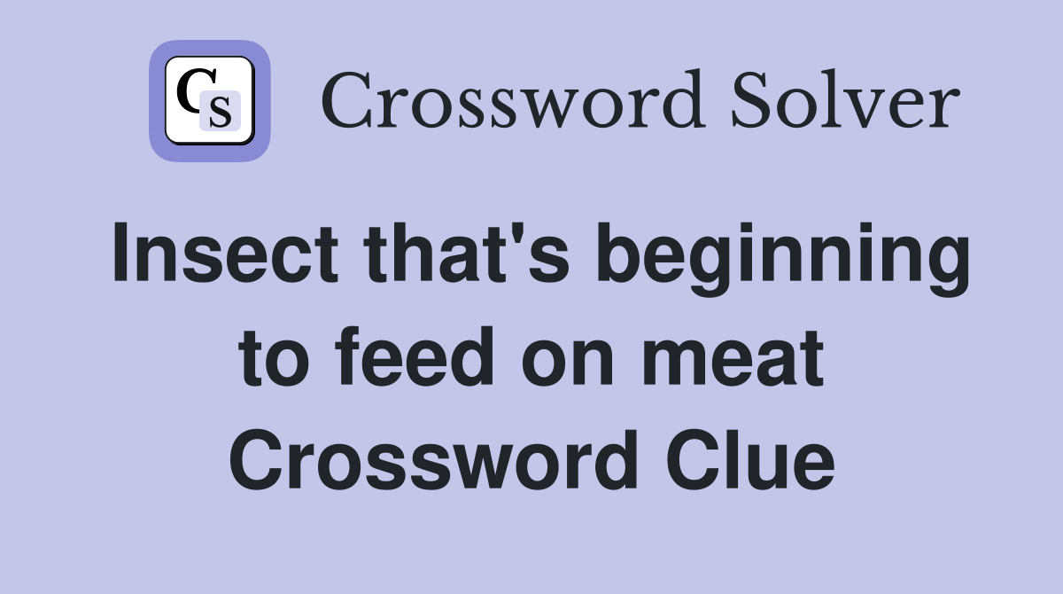 Insect that's beginning to feed on meat Crossword Clue