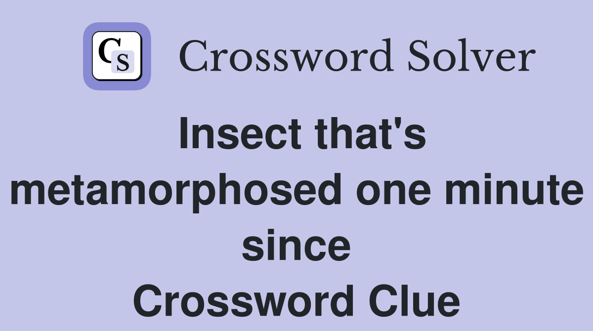 Insect that's metamorphosed one minute since Crossword Clue