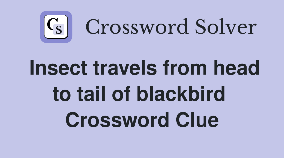 Insect travels from head to tail of blackbird  Crossword Clue