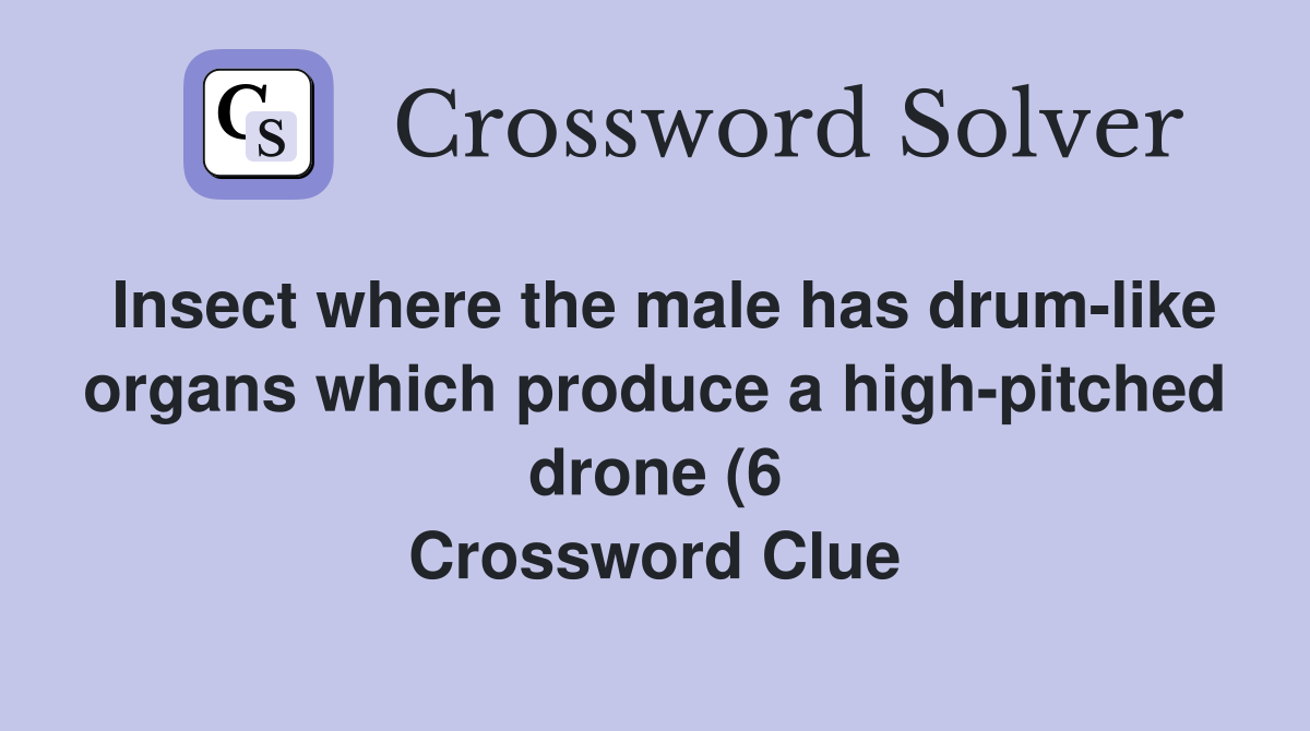 Insect where the male has drum like organs which produce a high pitched Insect where the male has drum like organs which produce a high pitched