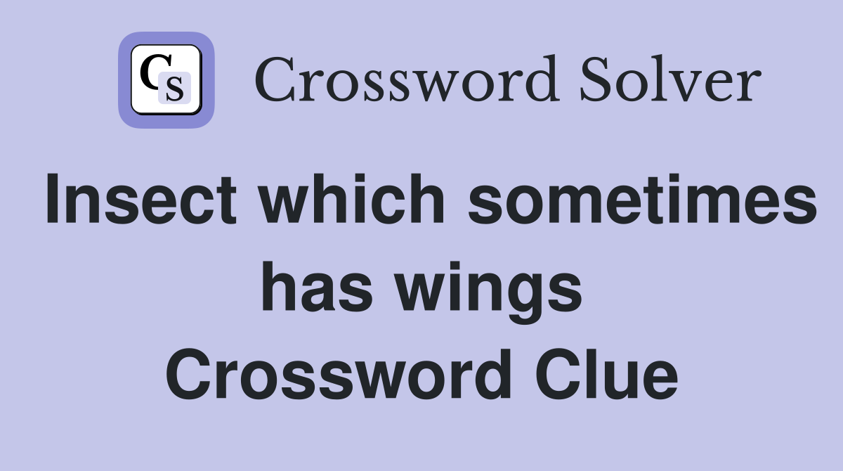 Insect which sometimes has wings Crossword Clue