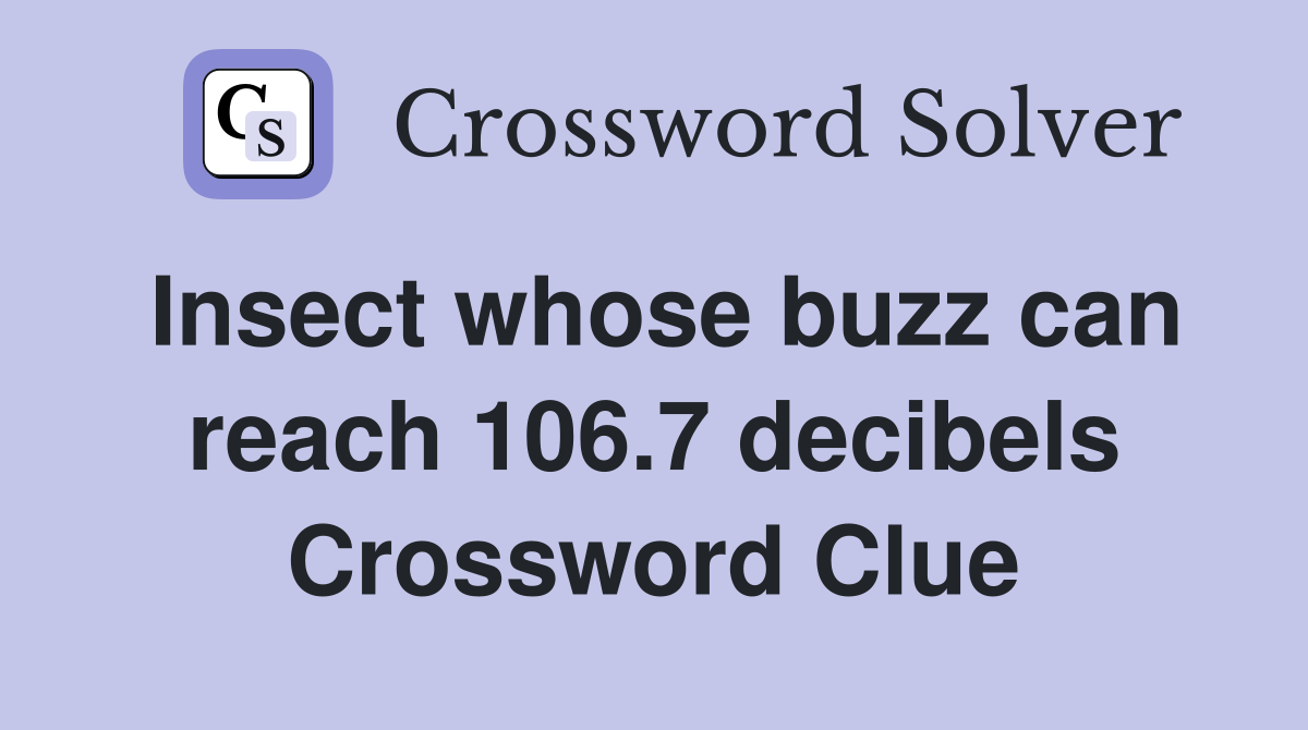 Insect whose buzz can reach 106.7 decibels Crossword Clue