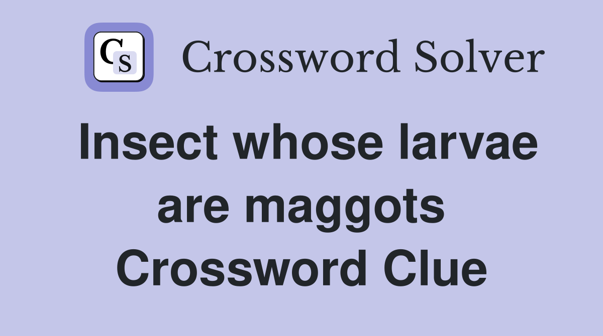 Insect whose larvae are maggots - Crossword Clue Answers - Crossword Solver