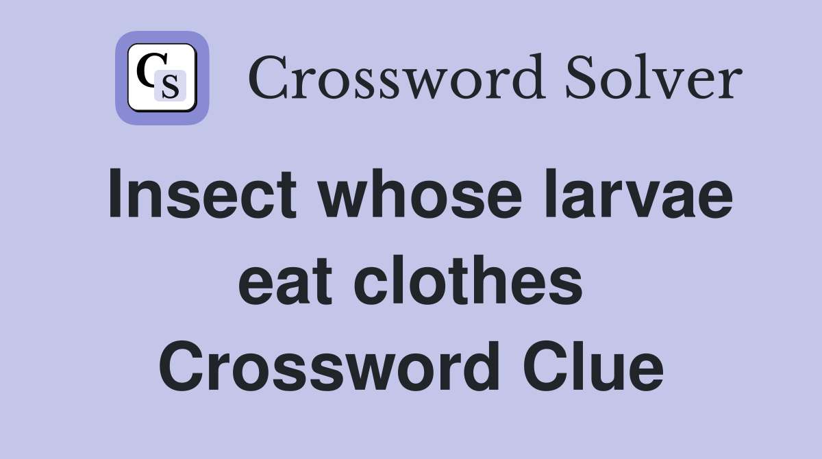 Insect whose larvae eat clothes Crossword Clue