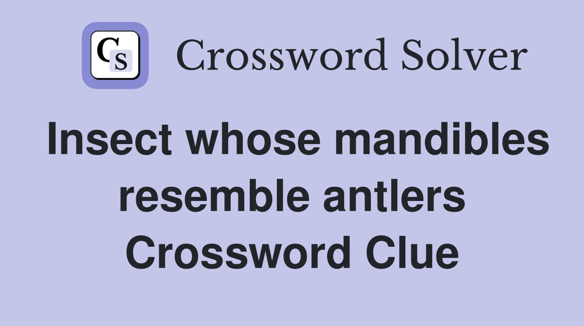 Insect whose mandibles resemble antlers Crossword Clue