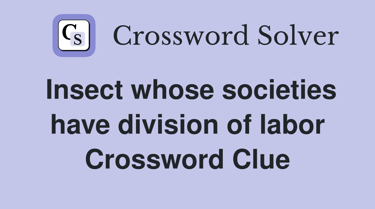Insect whose societies have division of labor Crossword Clue