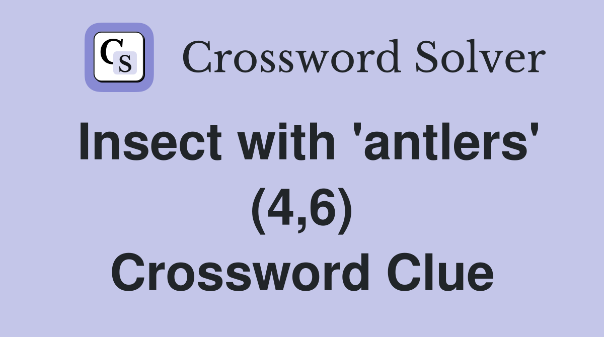 Insect with 'antlers' (4,6) Crossword Clue