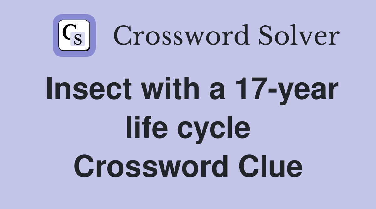 Insect with a 17-year life cycle Crossword Clue
